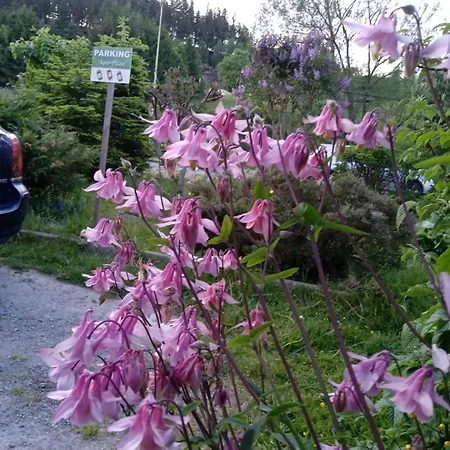 Çiftlik konaklama U Baltazara Duszniki Zdrój