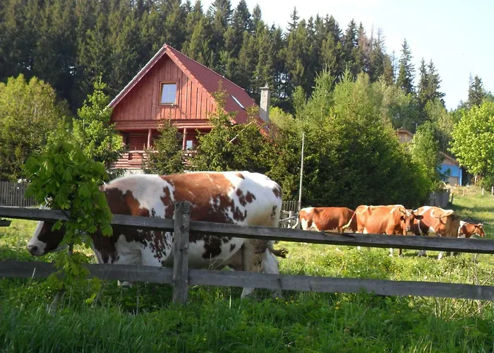 U Baltazara * Duszniki Zdrój